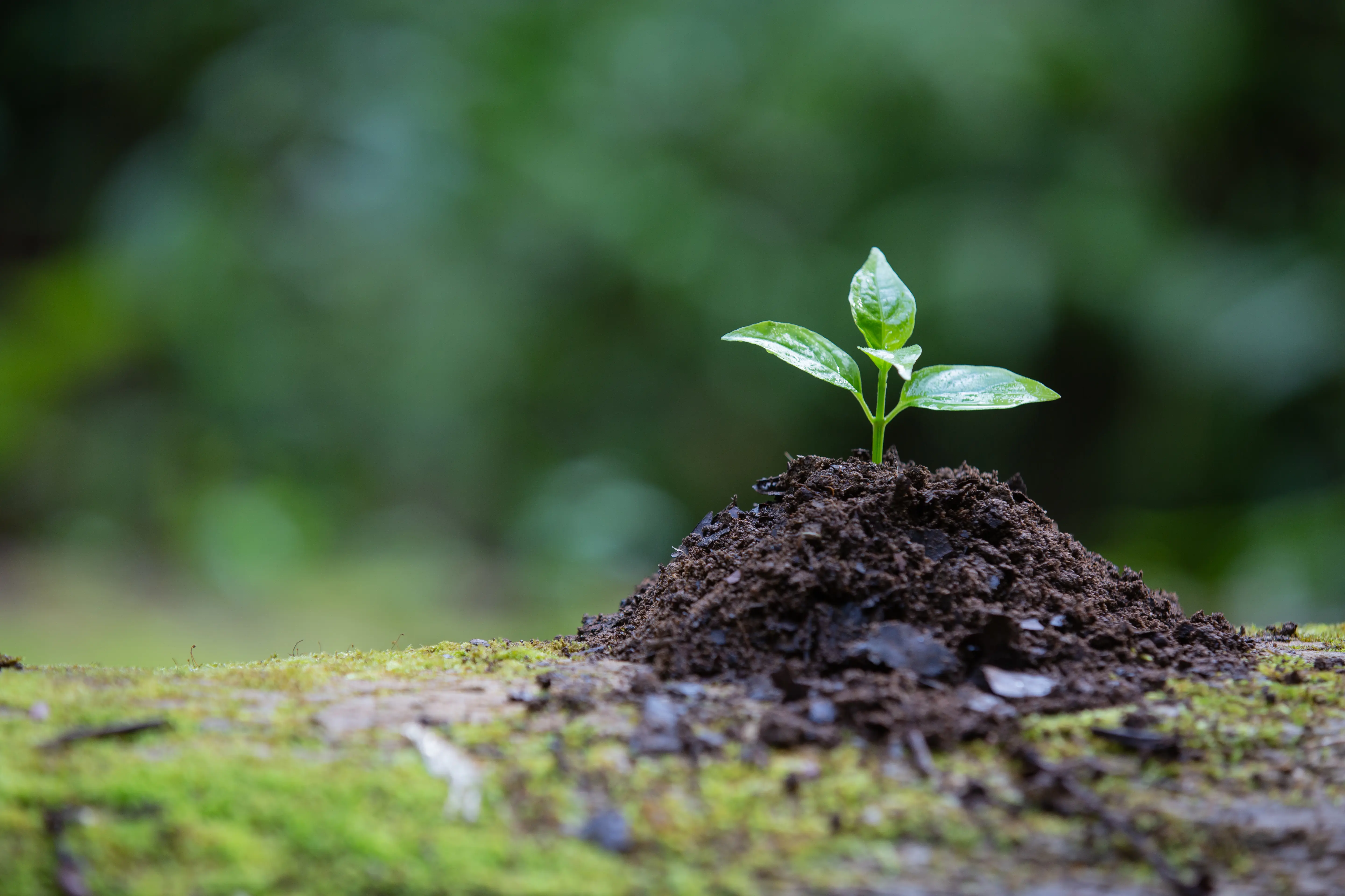 Welcome to Cleaner Earth Associates International Limited